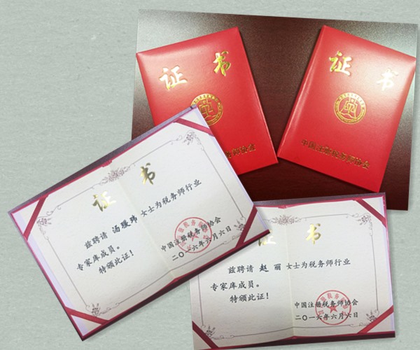 中稅協營改增課題研討會議005